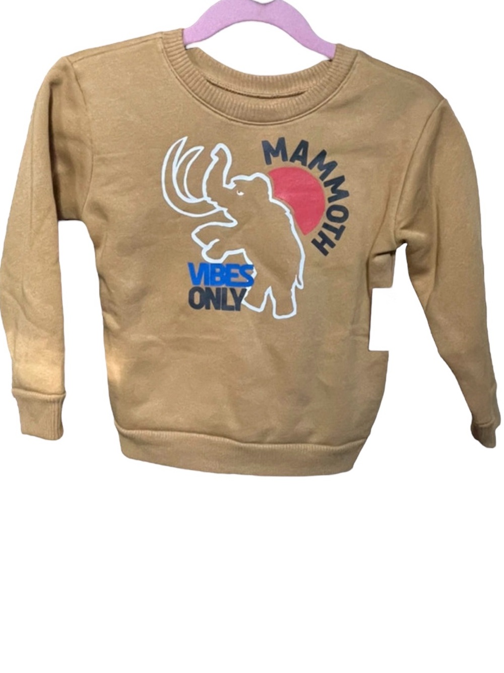New 2t boys dinosaur sweatshirt